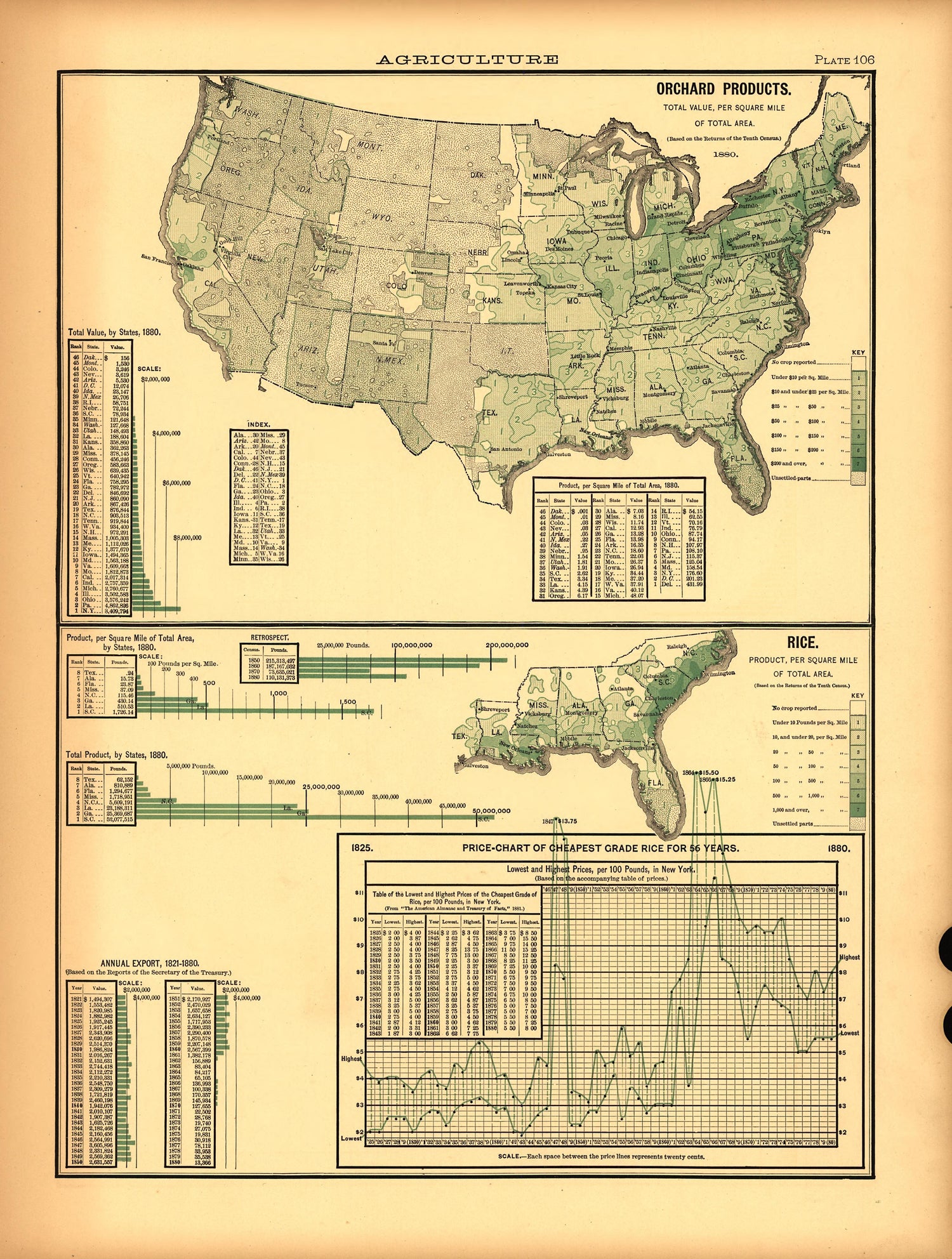 Plate 106: Agriculture (Orchard Products, Rice) from Scribner&