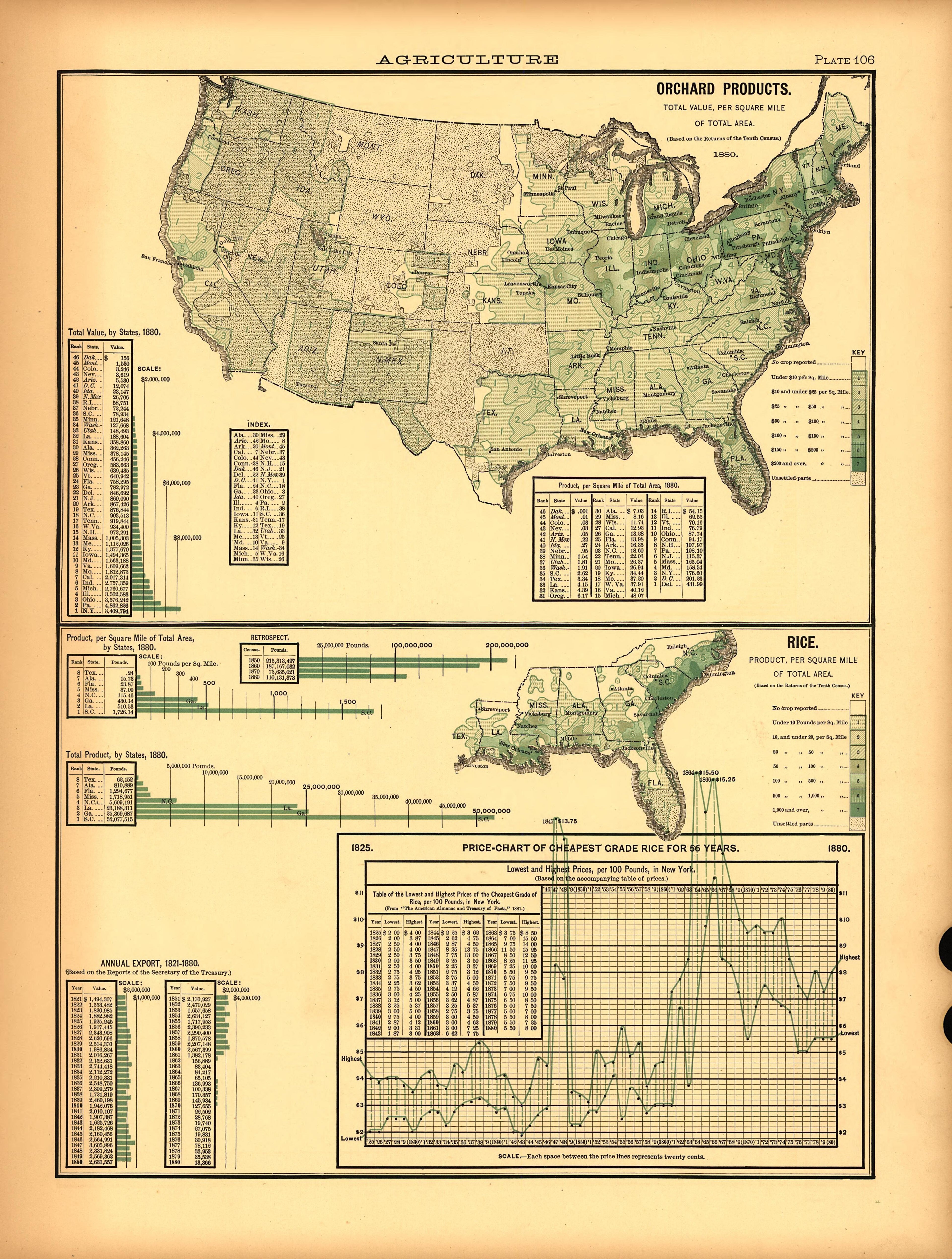 Plate 106: Agriculture (Orchard Products, Rice) from Scribner&