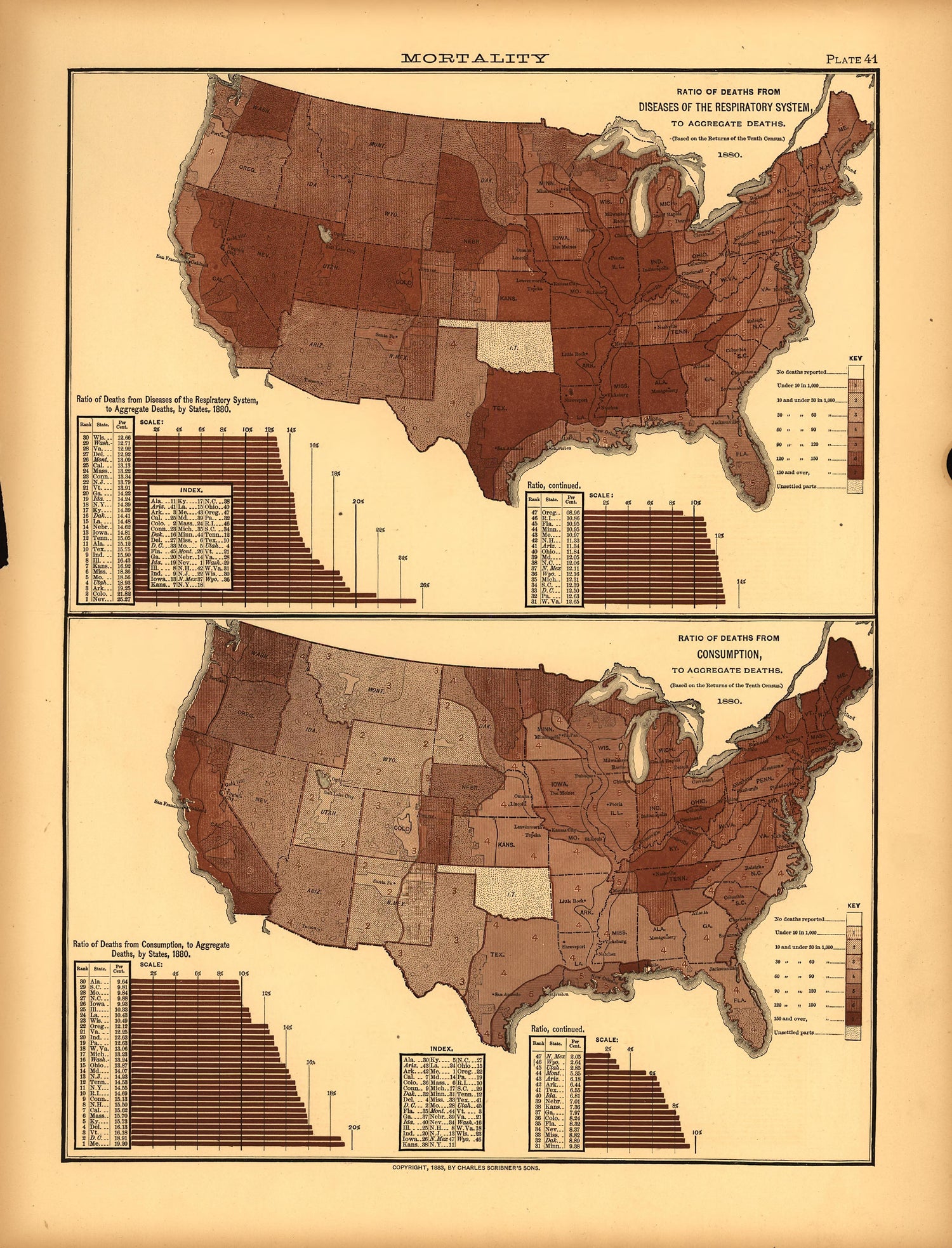 Plate 41: Mortality (Deaths from Respiratory Diseases, Consumption) from Scribner&