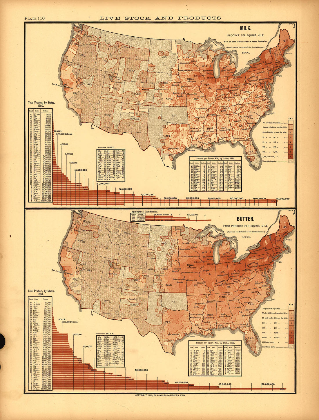 Plate 116: Live Stock and Products (Milk, Butter) from Scribner&