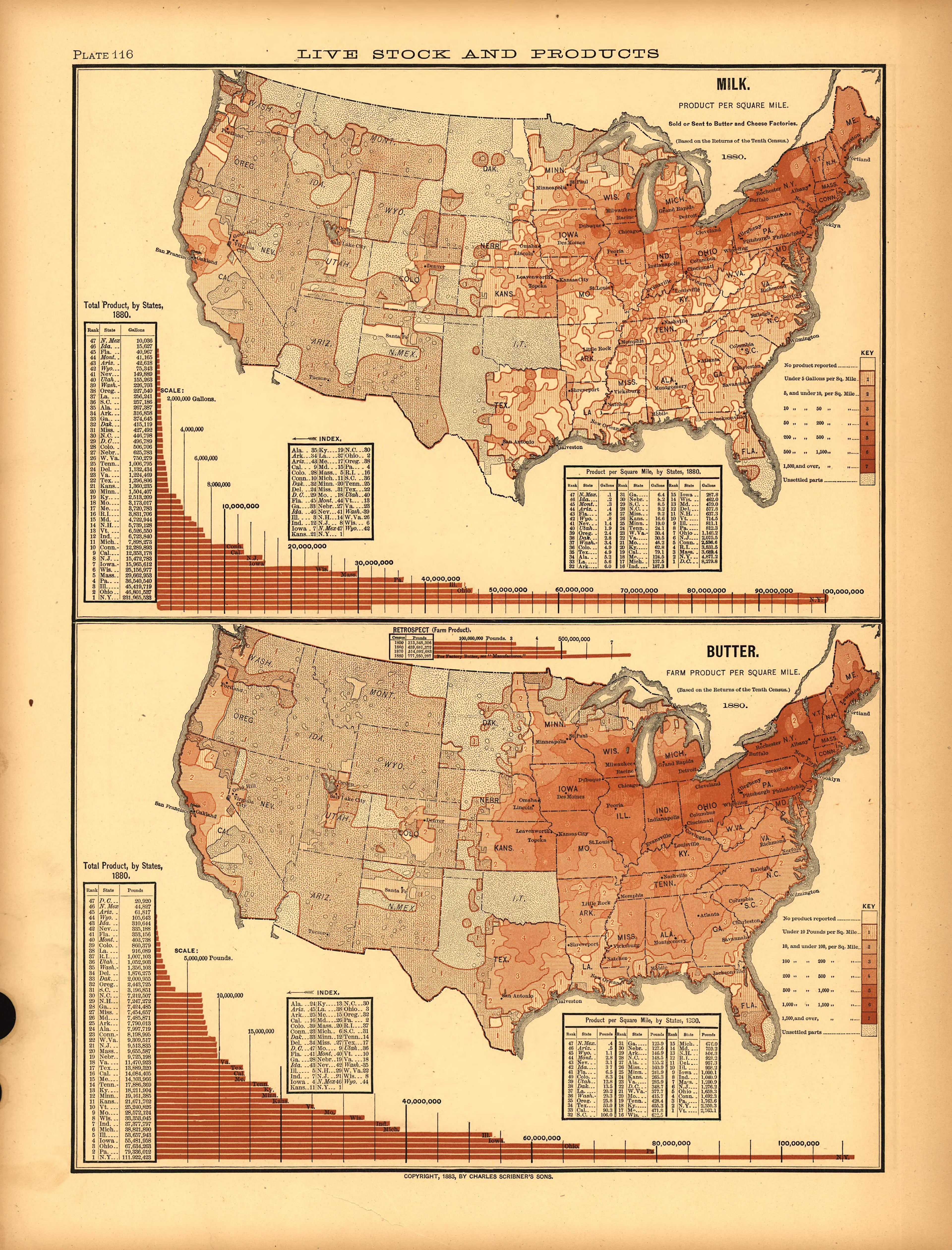 Plate 116: Live Stock and Products (Milk, Butter) from Scribner&