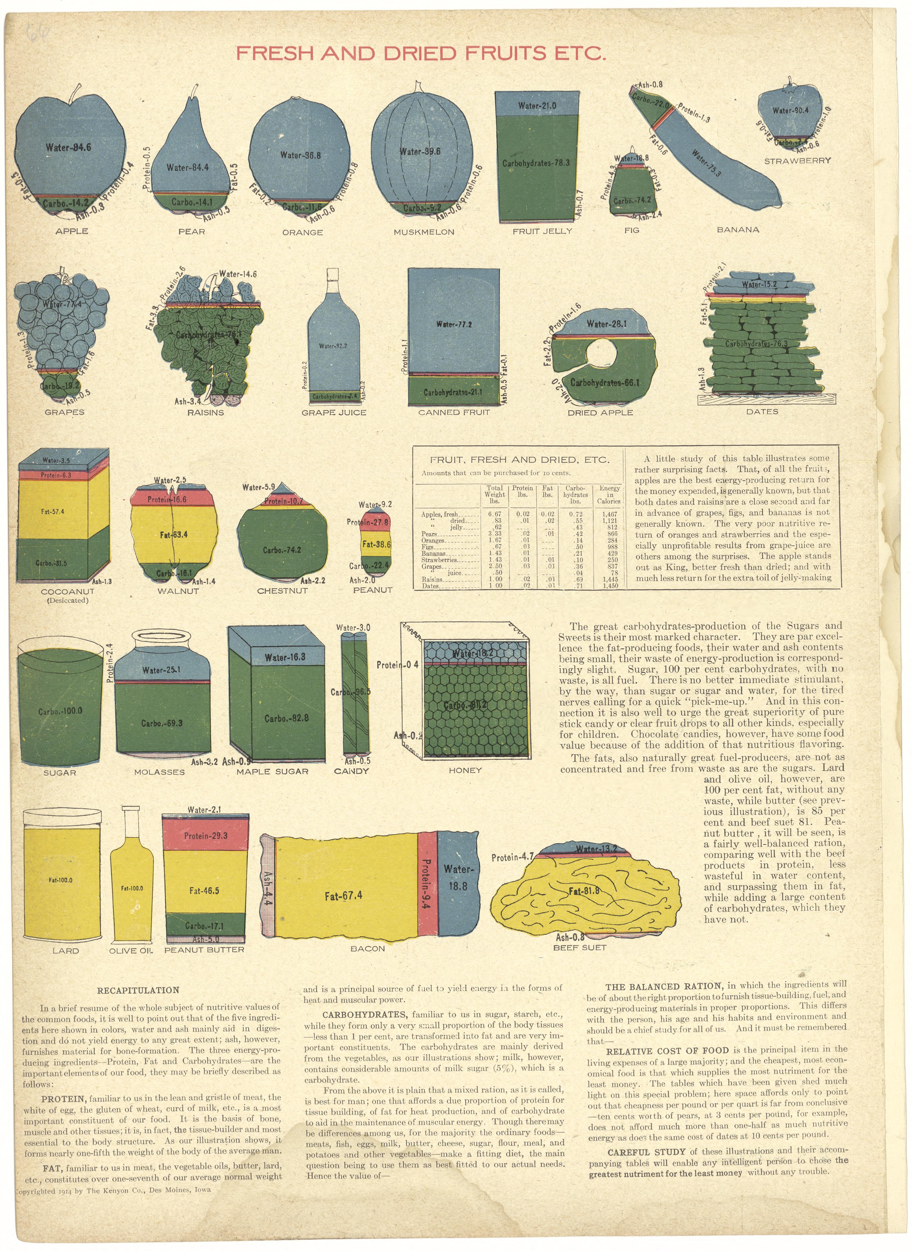 Fresh and Dried Fruits Etc. from Atlas and Plat Book of Jasper County, Iowa : Containing Outline Map of the County, Plats of All the Townships With Owners&