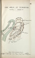 Siege of Vicksburg from the American Civil War--maps 1910 by Relic Map Company