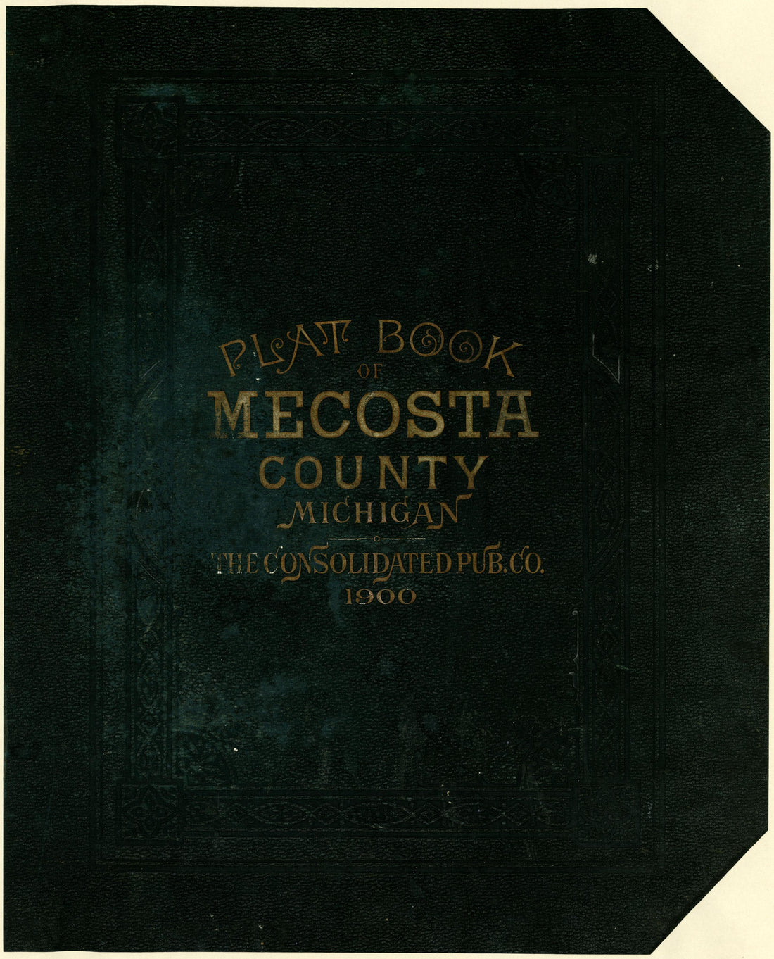 Plat Book of Mecosta County, Michigan from Plat Book of Mecosta County, Michigan 1900 by Relic Map Company