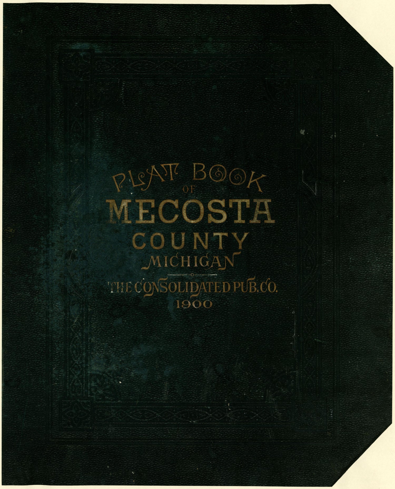 Plat Book of Mecosta County, Michigan from Plat Book of Mecosta County, Michigan 1900 by Relic Map Company