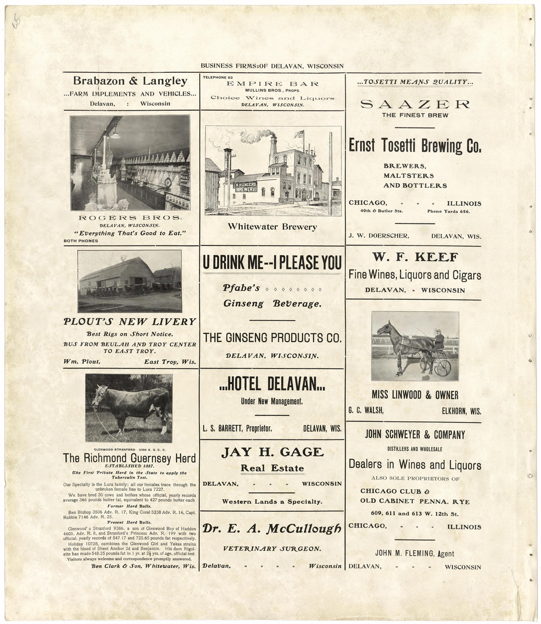 Business Firms of Delavan, Wisconsin from Standard Atlas of Walworth County, Wisconsin : Including a Plat Book of the Villages, Cities and Townships of the County, Patrons Directory, Reference Business Directory and Departments Devoted to General Info... by Relic Map Company