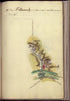Camp a Falmouth from Amérique Campagne 1782 by Relic Map Company