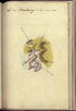 Camp a Dambury from Amérique Campagne 1782 by Relic Map Company