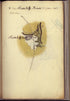 Camp a Rattelaffe House from Amérique Campagne 1782 by Relic Map Company