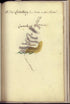 Camp a Contorbery from Amérique Campagne 1782 by Relic Map Company