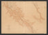 CA Drawer 107, Folder 08, Item 03 from Maps of California--regions Sa-Sacramento Valley 1920-1970-Sand 1800 by Relic Map Company