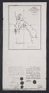 CA Drawer 108, Folder 07, Item 02 from Maps of California--regions Sand-San Fernando Valley 1850-1940 1800 by Relic Map Company