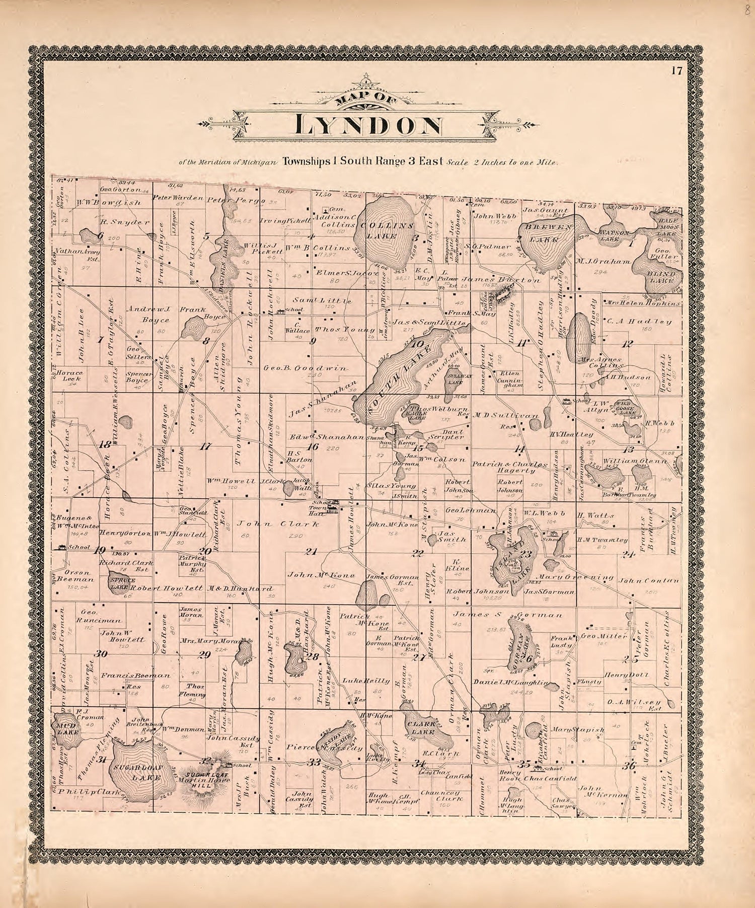 Map of Lyndon from Standard Atlas of Washtenaw County, Michigan : Including a Plat Book of the Villages, Cities and Townships of the County, Map of the State, United States and World, Farmers Directory, Reference Business … 1895 by Relic Map Company