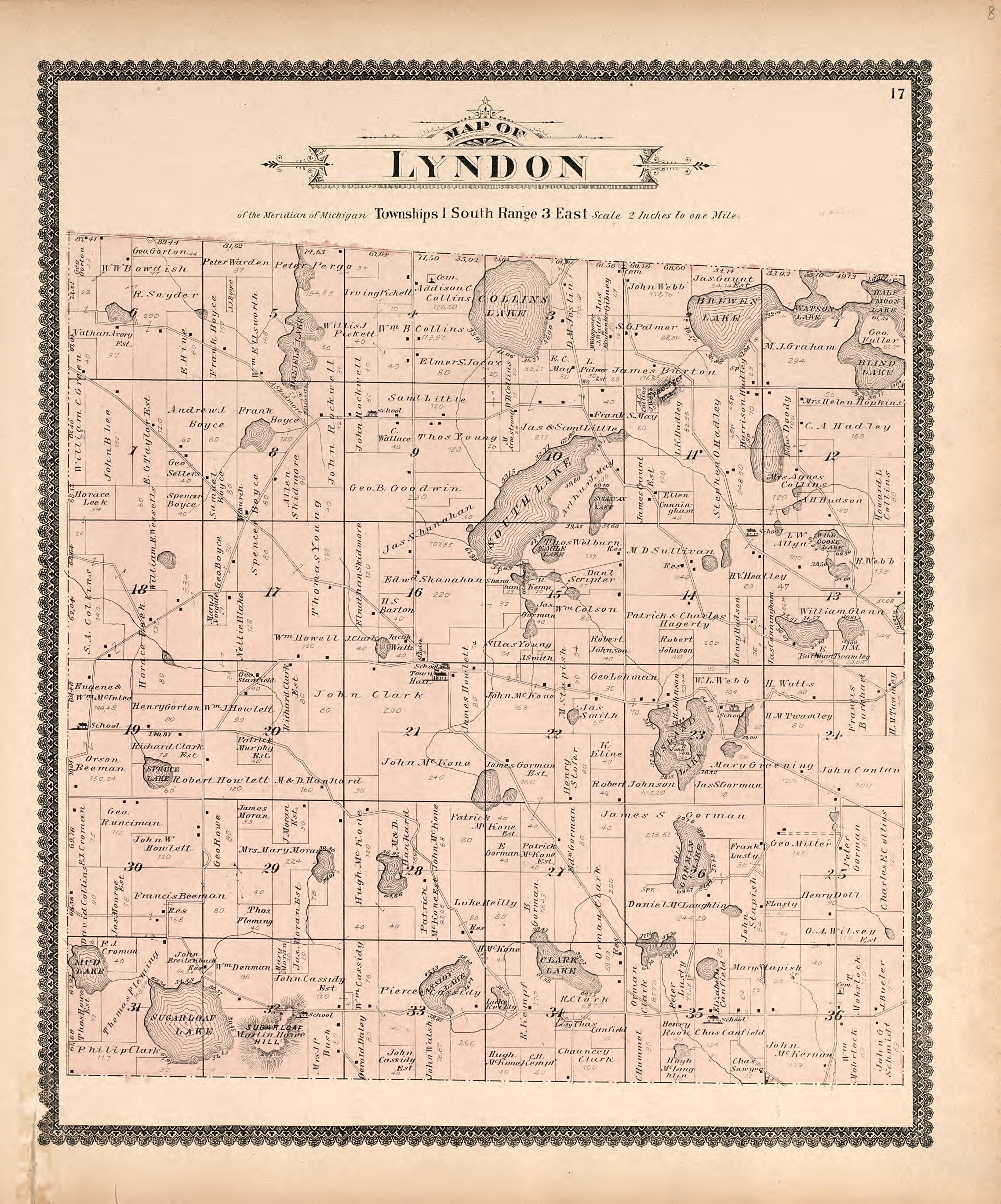 Map of Lyndon from Standard Atlas of Washtenaw County, Michigan : Including a Plat Book of the Villages, Cities and Townships of the County, Map of the State, United States and World, Farmers Directory, Reference Business … 1895 by Relic Map Company