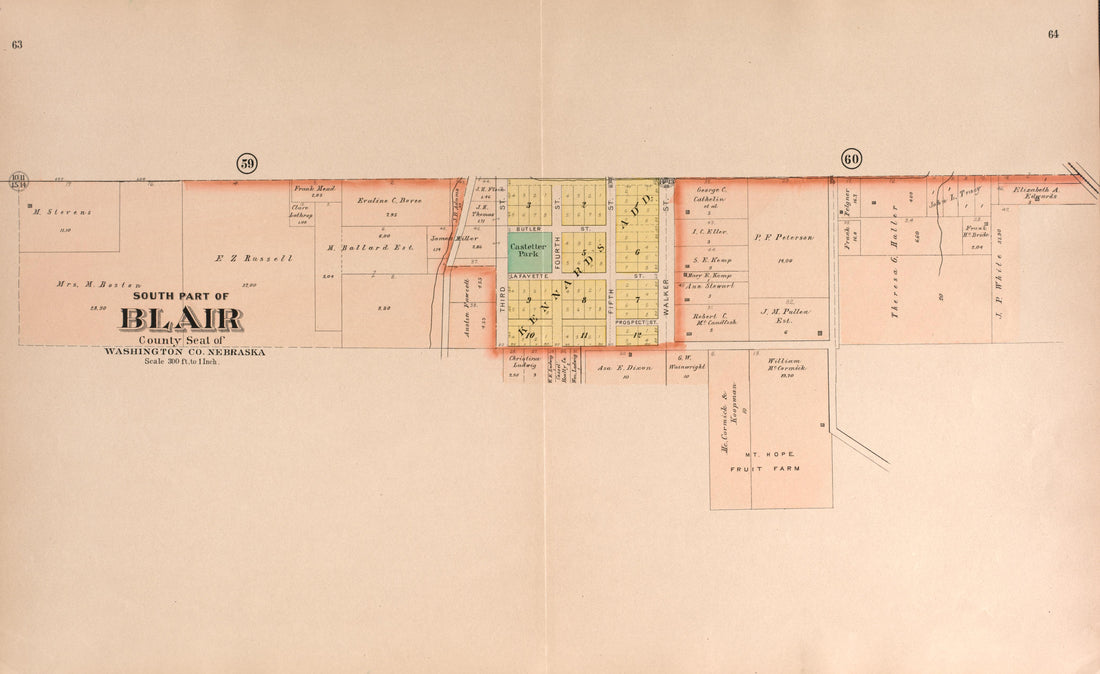 Blair, South Part from Plat Book of Washington County, Nebraska : Containing Carefully Prepared Township Plats, Village Plats, Analysis of U.S. Land System, State, United States and World Maps : Illustrated 1908 by Relic Map Company