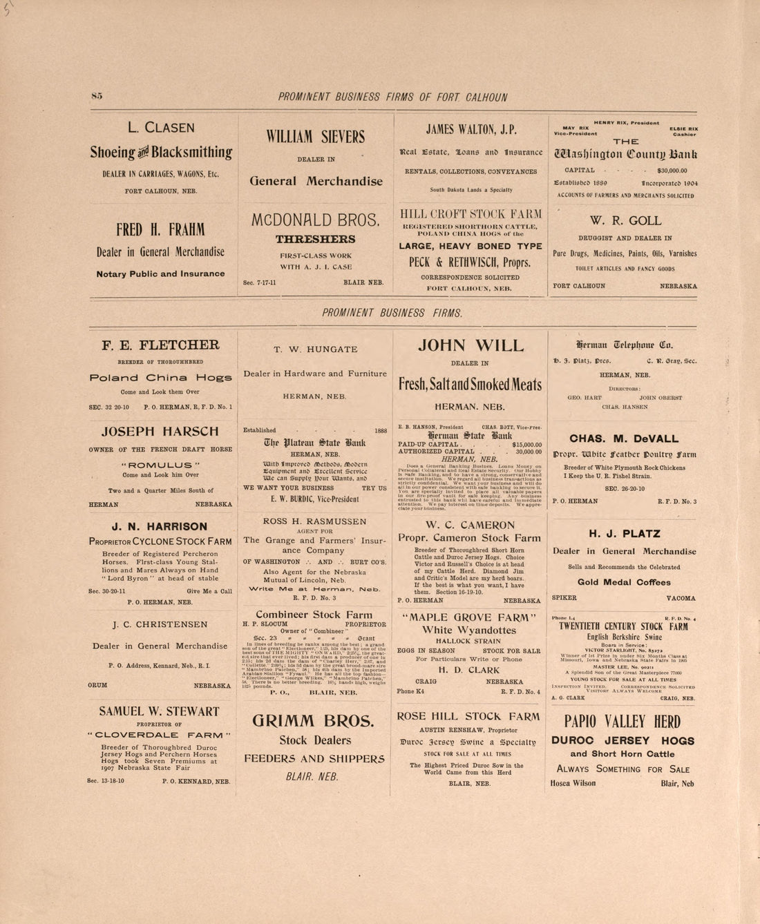 Business Firms In Blair, P. 4 from Plat Book of Washington County, Nebraska : Containing Carefully Prepared Township Plats, Village Plats, Analysis of U.S. Land System, State, United States and World Maps : Illustrated 1908 by Relic Map Company