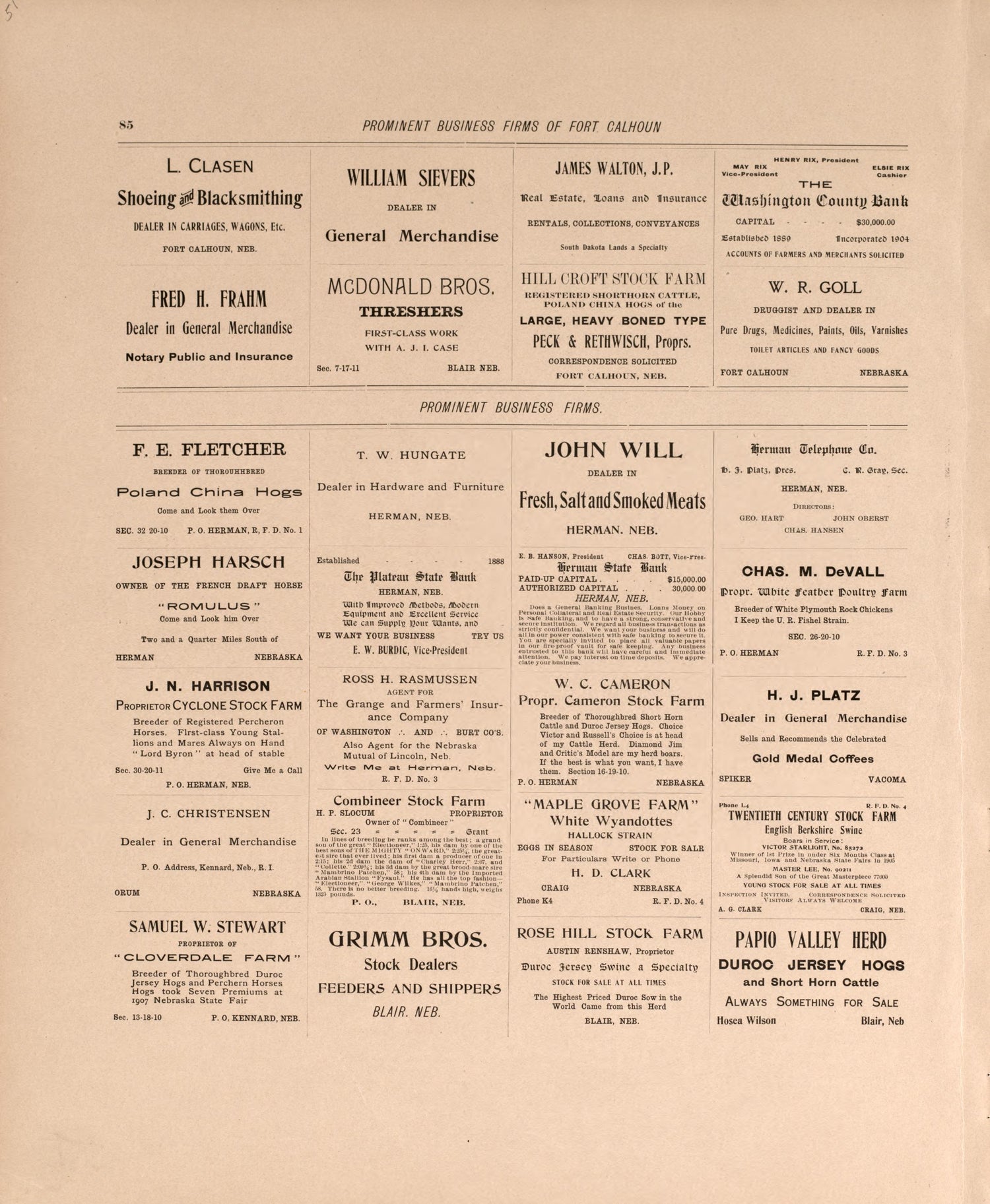 Business Firms In Blair, P. 4 from Plat Book of Washington County, Nebraska : Containing Carefully Prepared Township Plats, Village Plats, Analysis of U.S. Land System, State, United States and World Maps : Illustrated 1908 by Relic Map Company