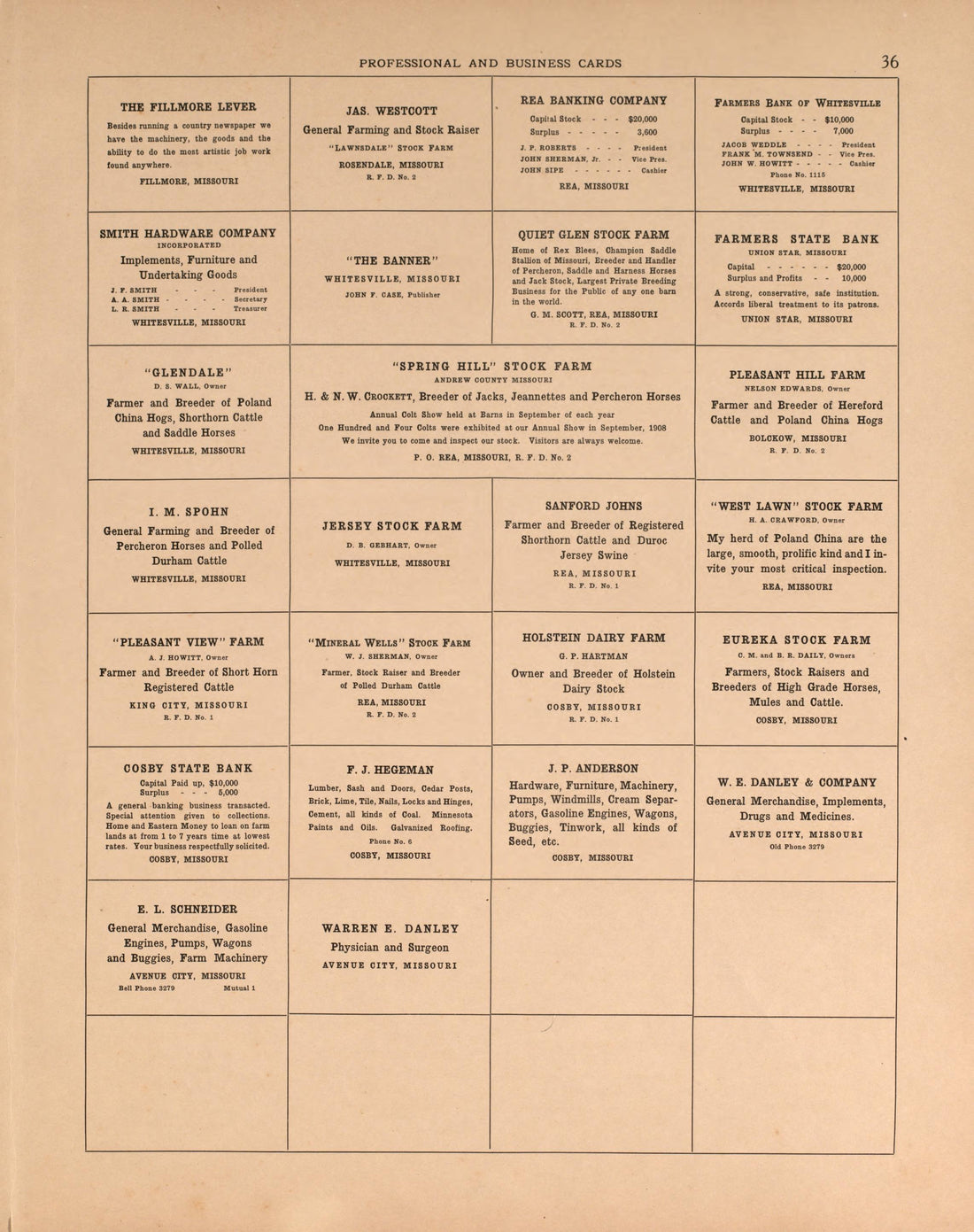 Professional and Business Cards, Pg. 3 from Plat Book of Andrew County, Missouri 1909 by Relic Map Company
