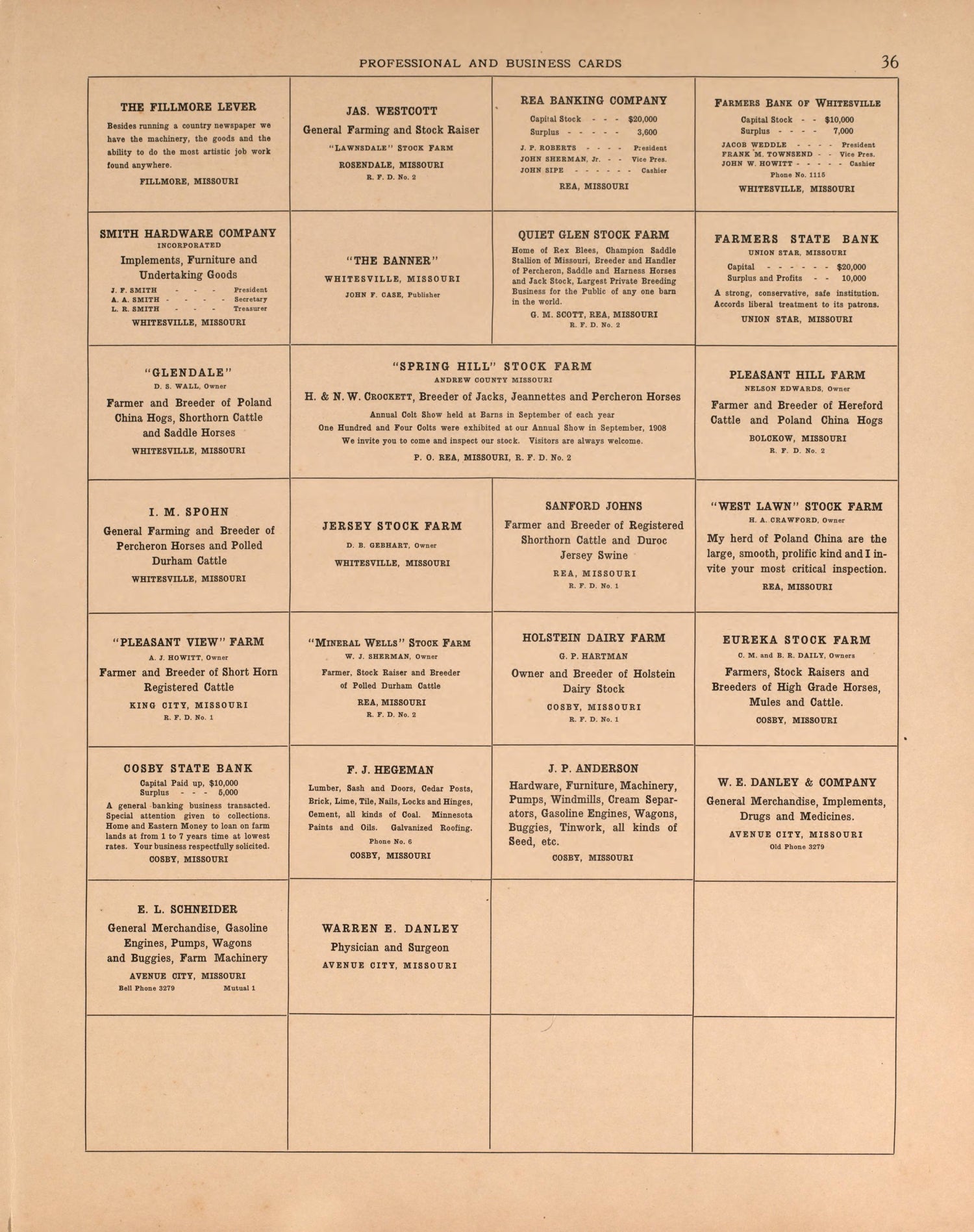 Professional and Business Cards, Pg. 3 from Plat Book of Andrew County, Missouri 1909 by Relic Map Company