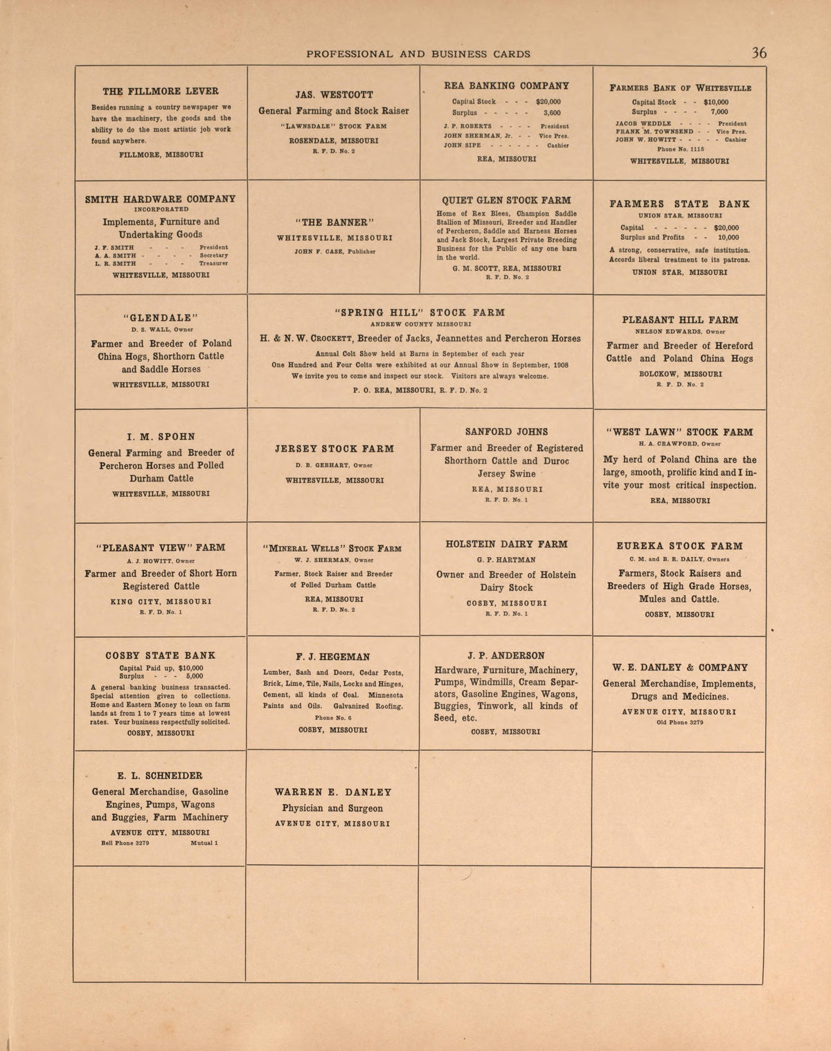 Professional and Business Cards, Pg. 3 from Plat Book of Andrew County, Missouri 1909 by Relic Map Company