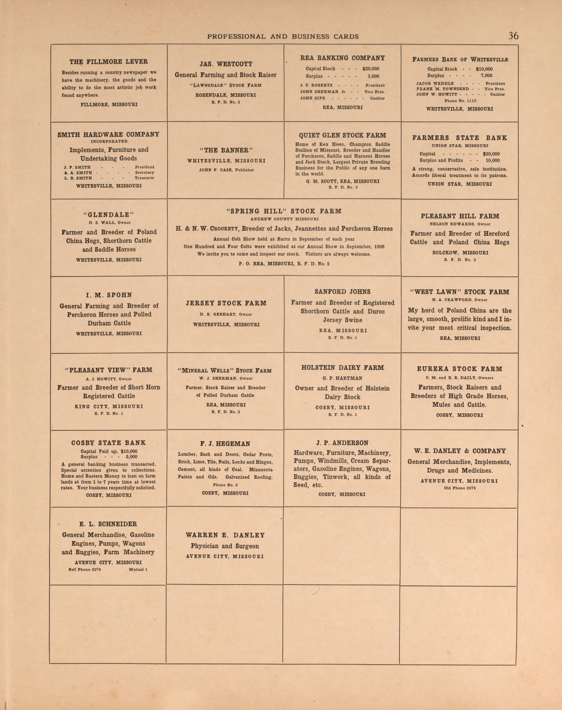 Professional and Business Cards, Pg. 3 from Plat Book of Andrew County, Missouri 1909 by Relic Map Company