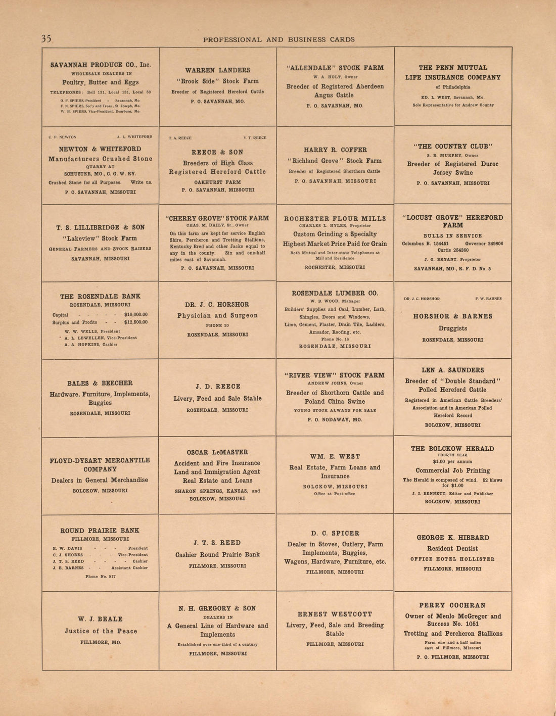 Professional and Business Cards, Pg. 2 from Plat Book of Andrew County, Missouri 1909 by Relic Map Company