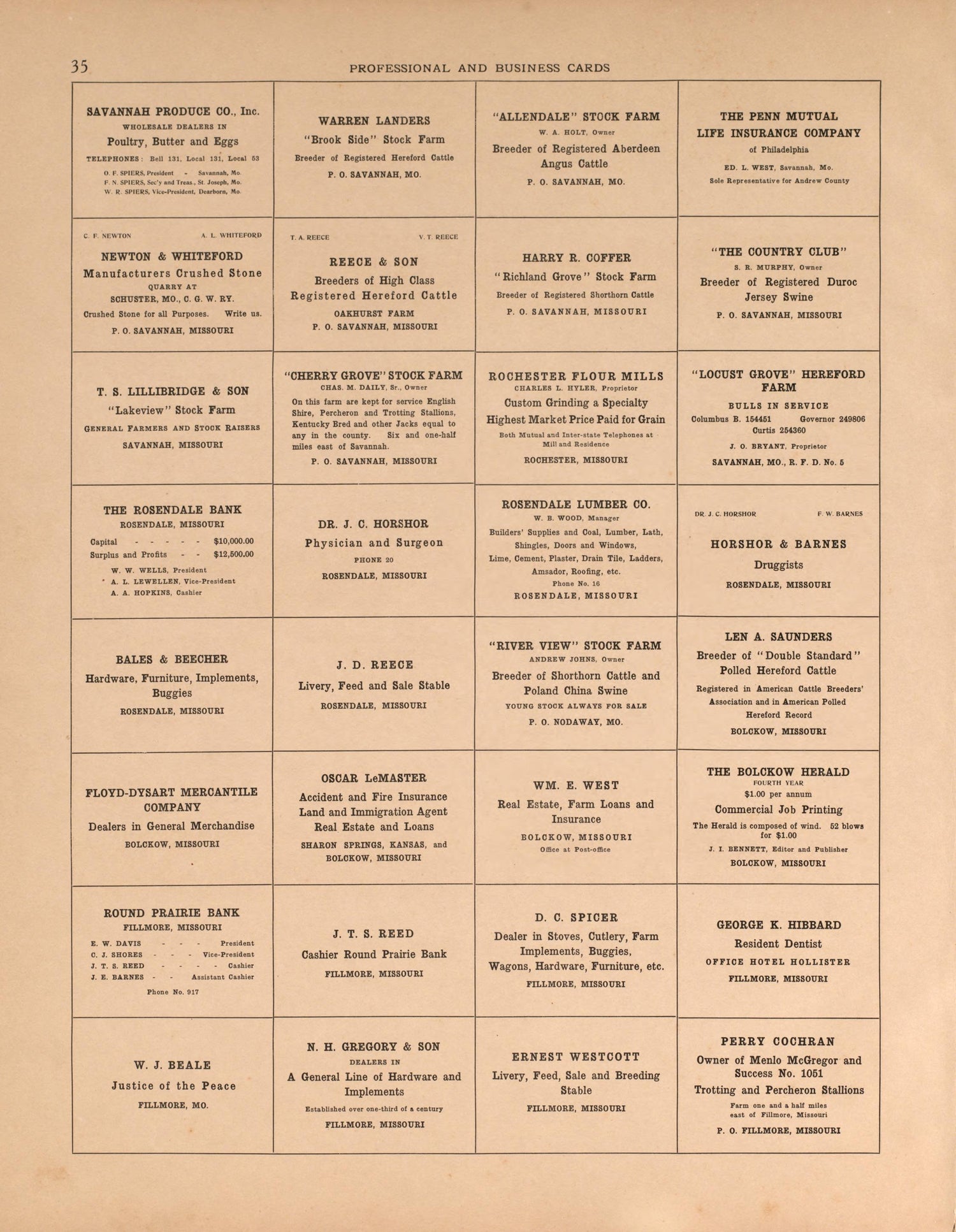 Professional and Business Cards, Pg. 2 from Plat Book of Andrew County, Missouri 1909 by Relic Map Company