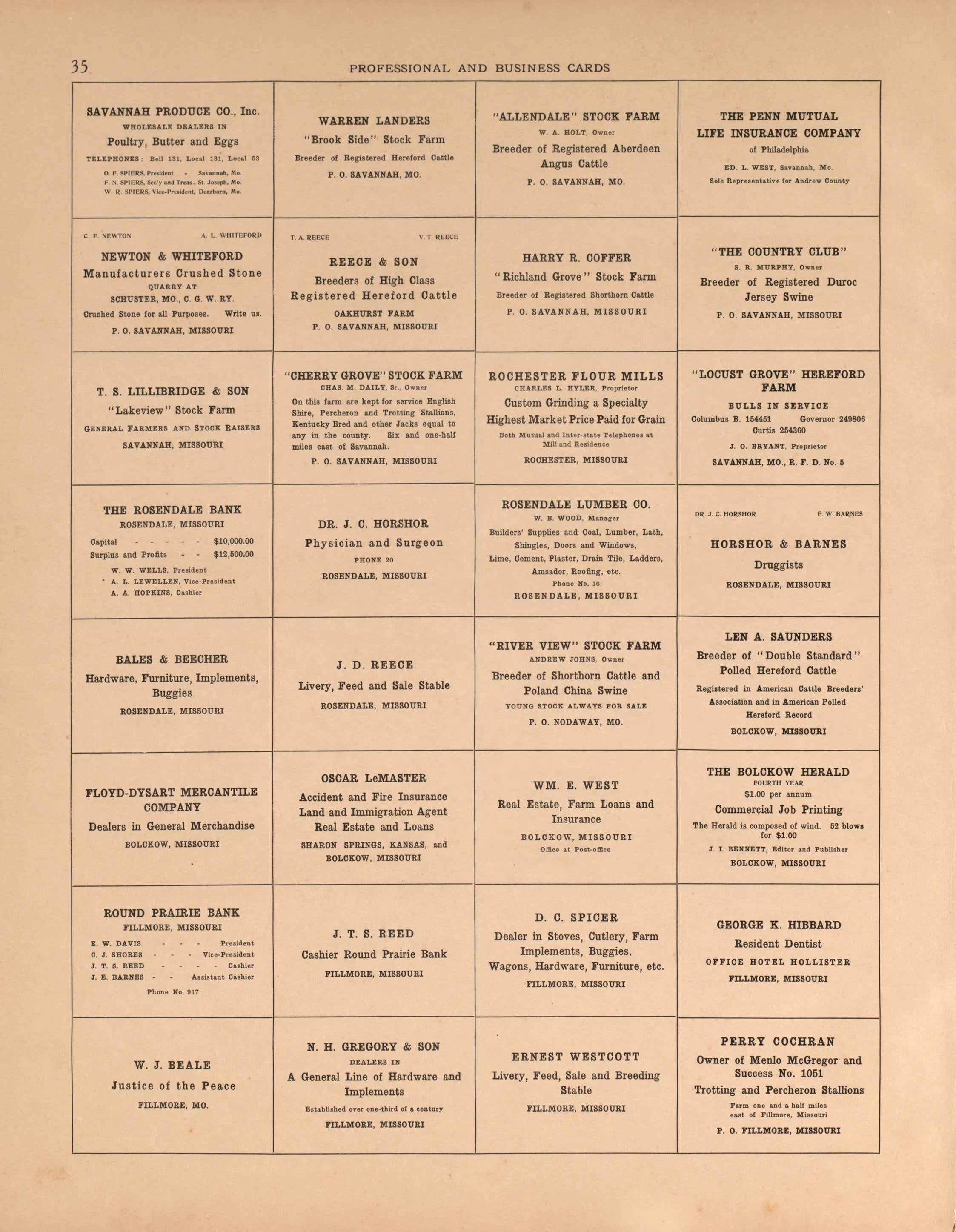 Professional and Business Cards, Pg. 2 from Plat Book of Andrew County, Missouri 1909 by Relic Map Company