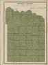 Mosquito Township from Plat Book and Complete Survey of Christian County, Illinois : Containing Plats of All Townships With Owners&