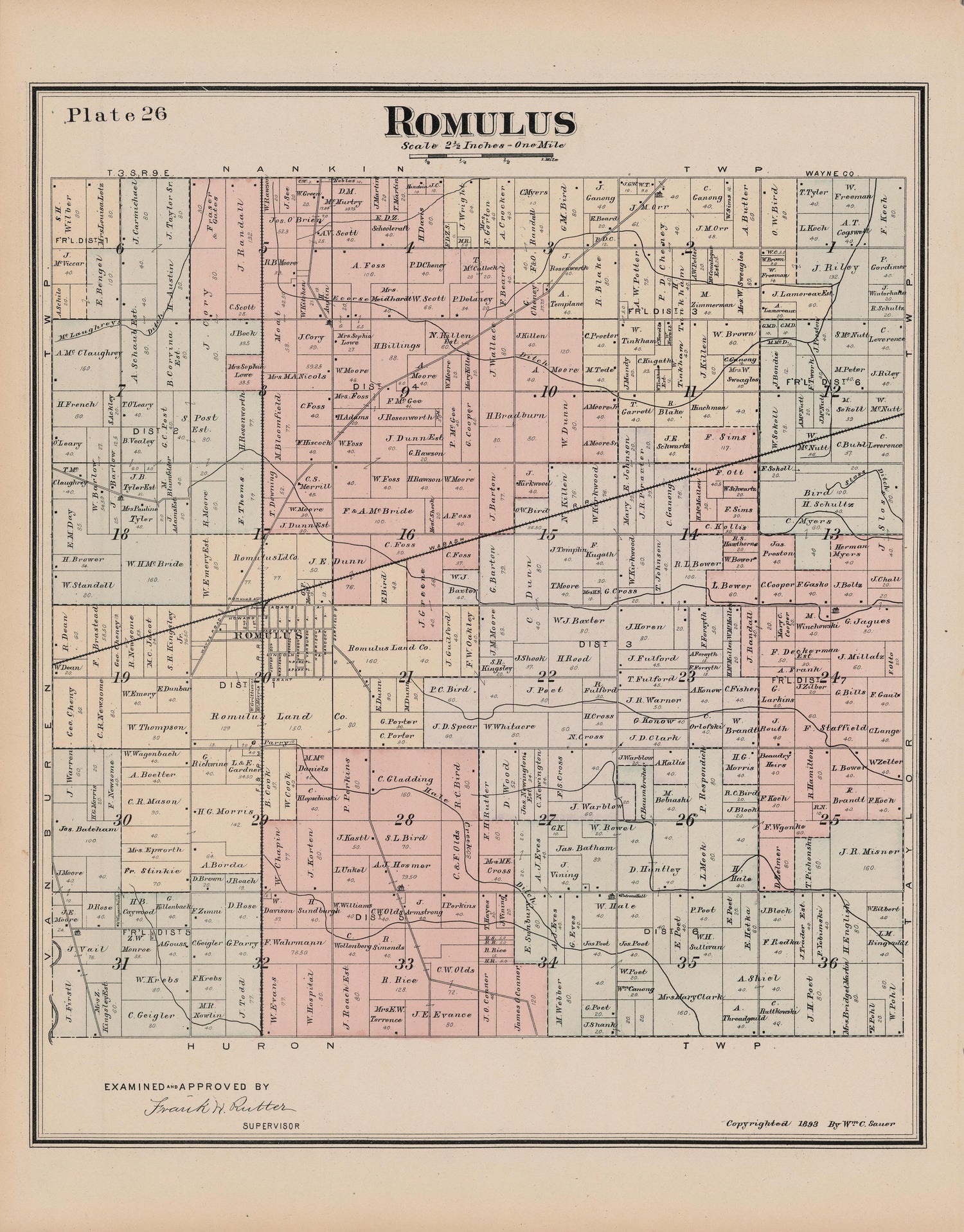 This old map of Michigan, , Wayne County was created by Sauer, Wm. C. in 1893