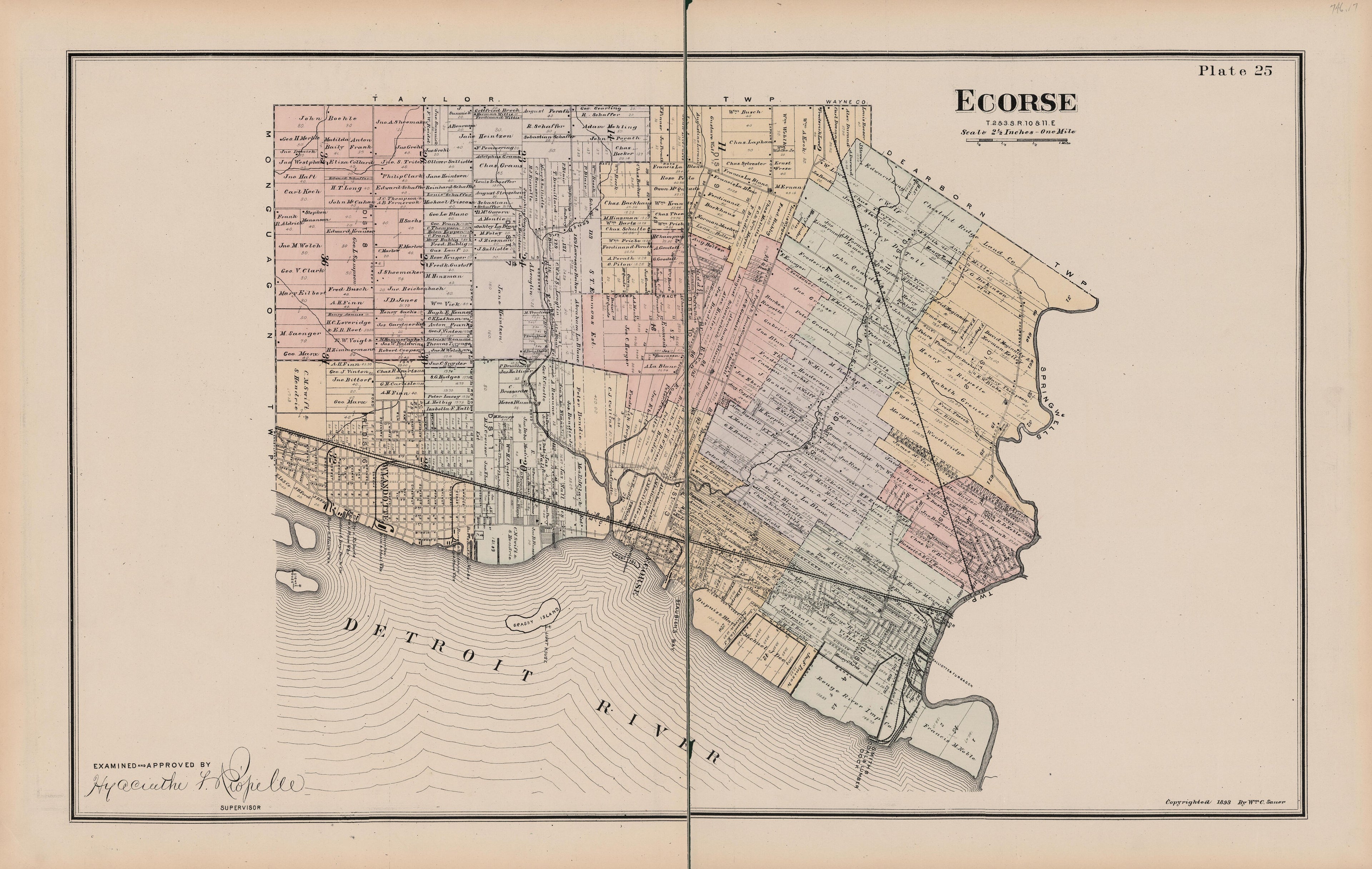 This old map of Michigan, , Wayne County was created by Sauer, Wm. C. in 1893