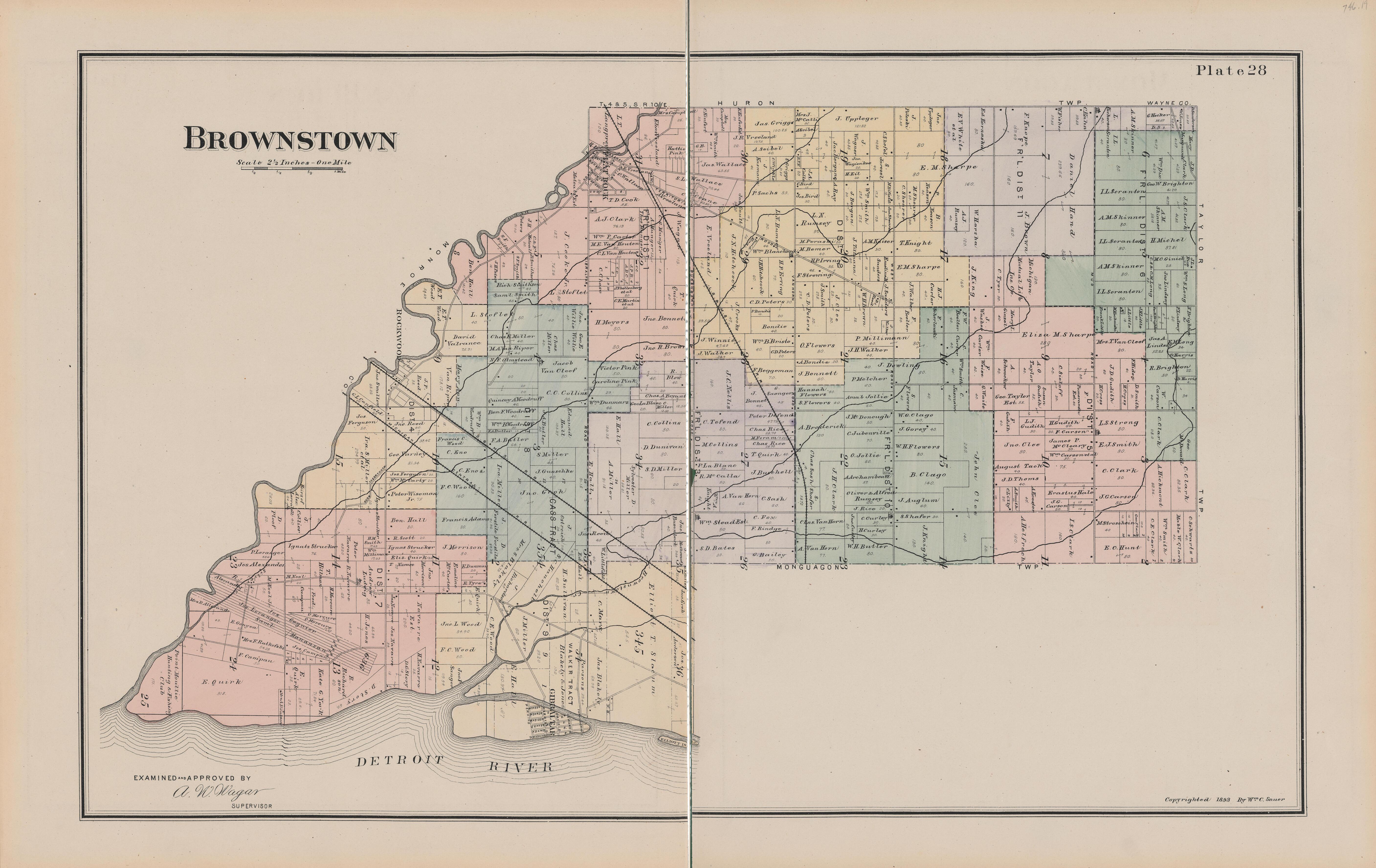 This old map of Michigan, , Wayne County was created by Sauer, Wm. C. in 1893