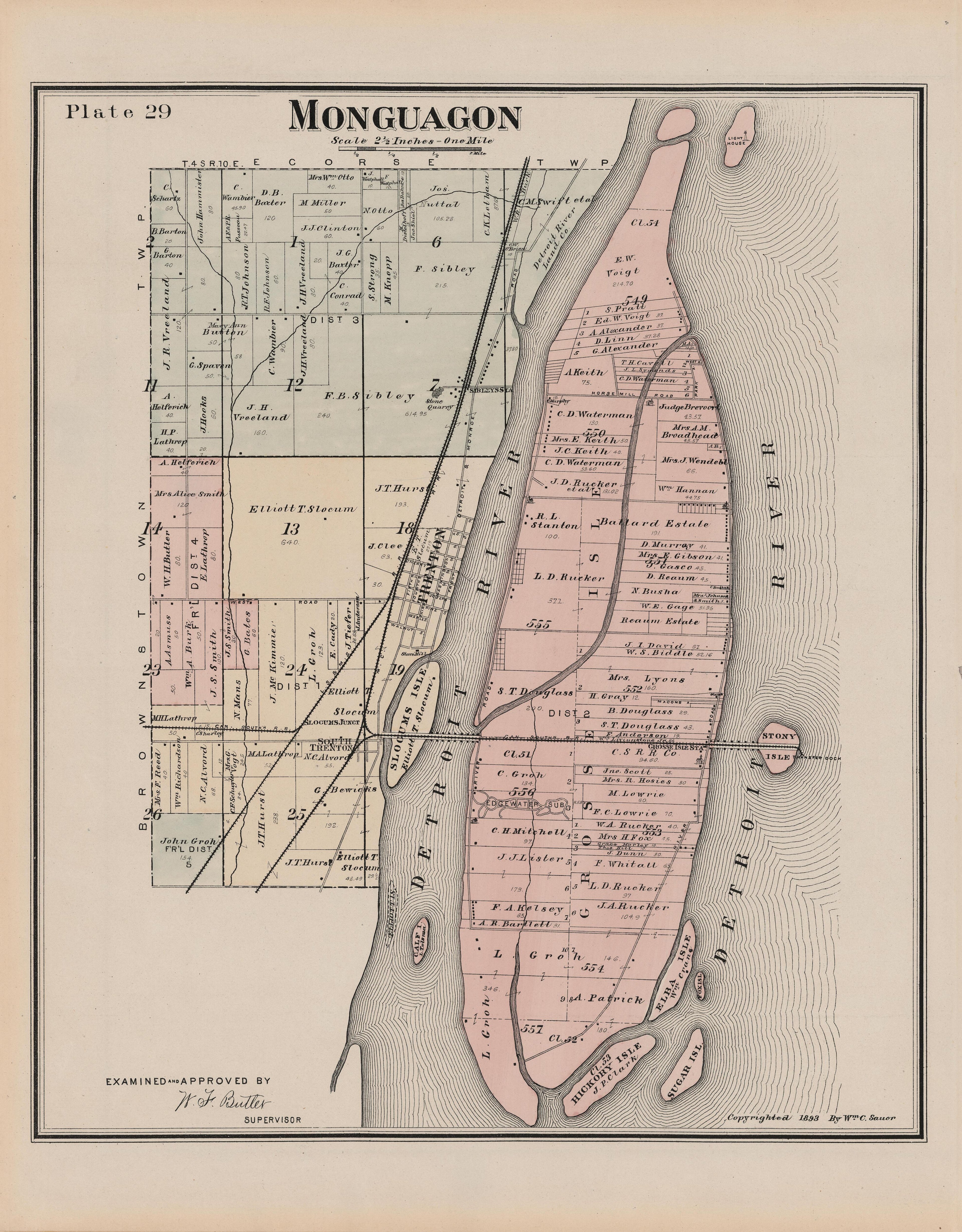 This old map of Michigan, , Wayne County was created by Sauer, Wm. C. in 1893