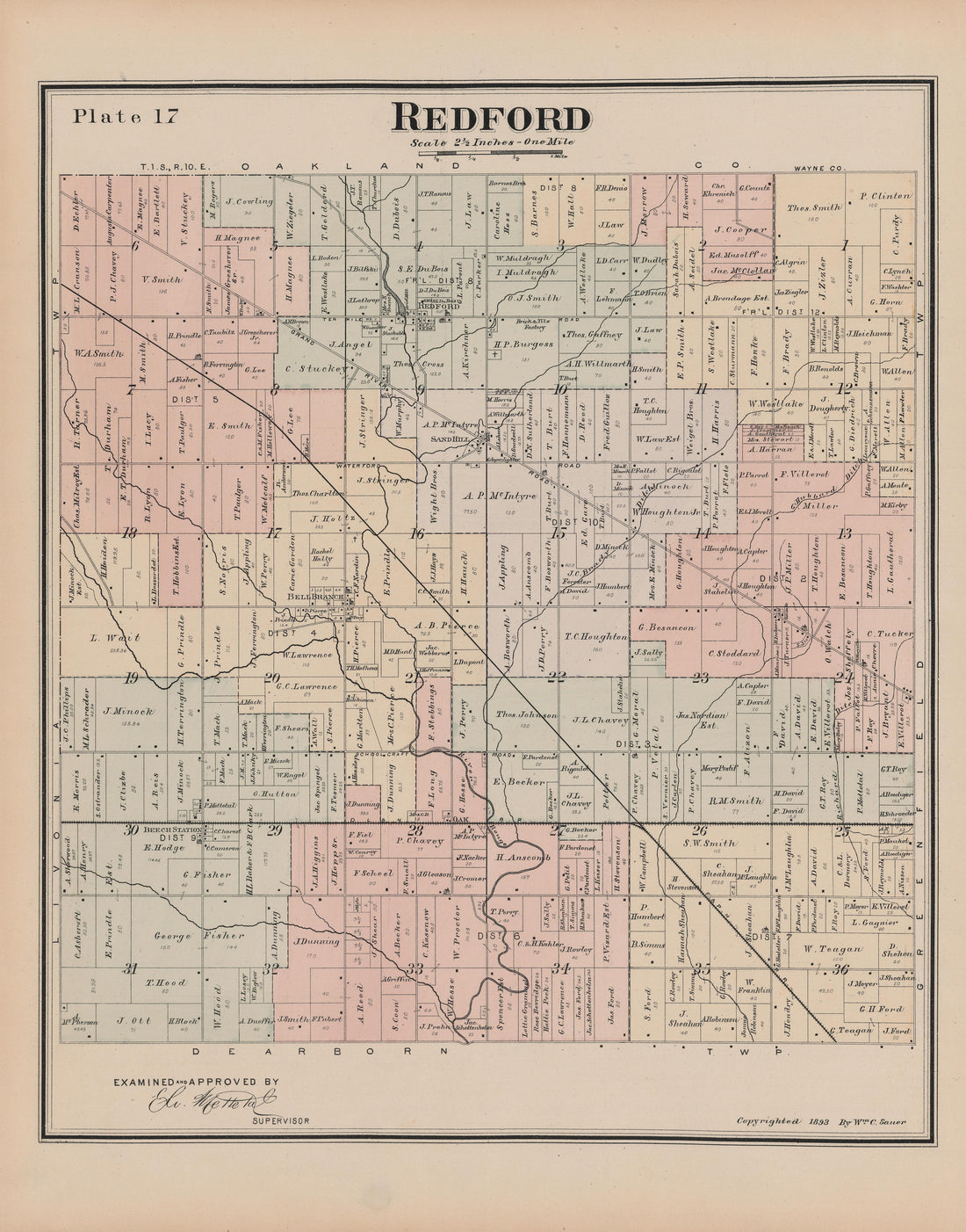 This old map of Michigan, , Wayne County was created by Sauer, Wm. C. in 1893