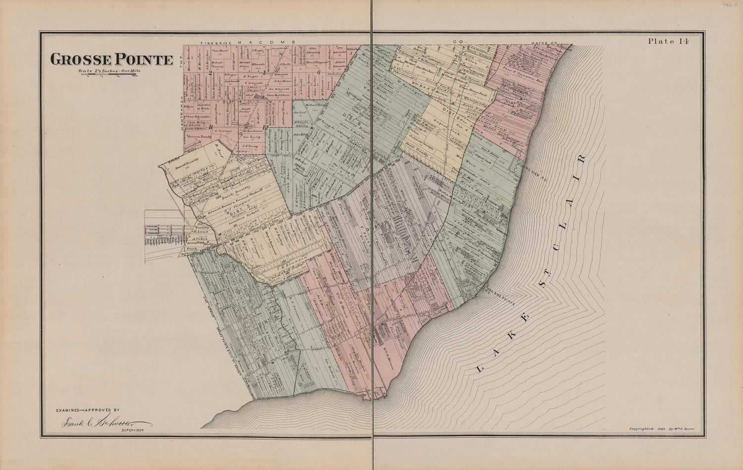 This old map of Michigan, , Wayne County was created by Sauer, Wm. C. in 1893