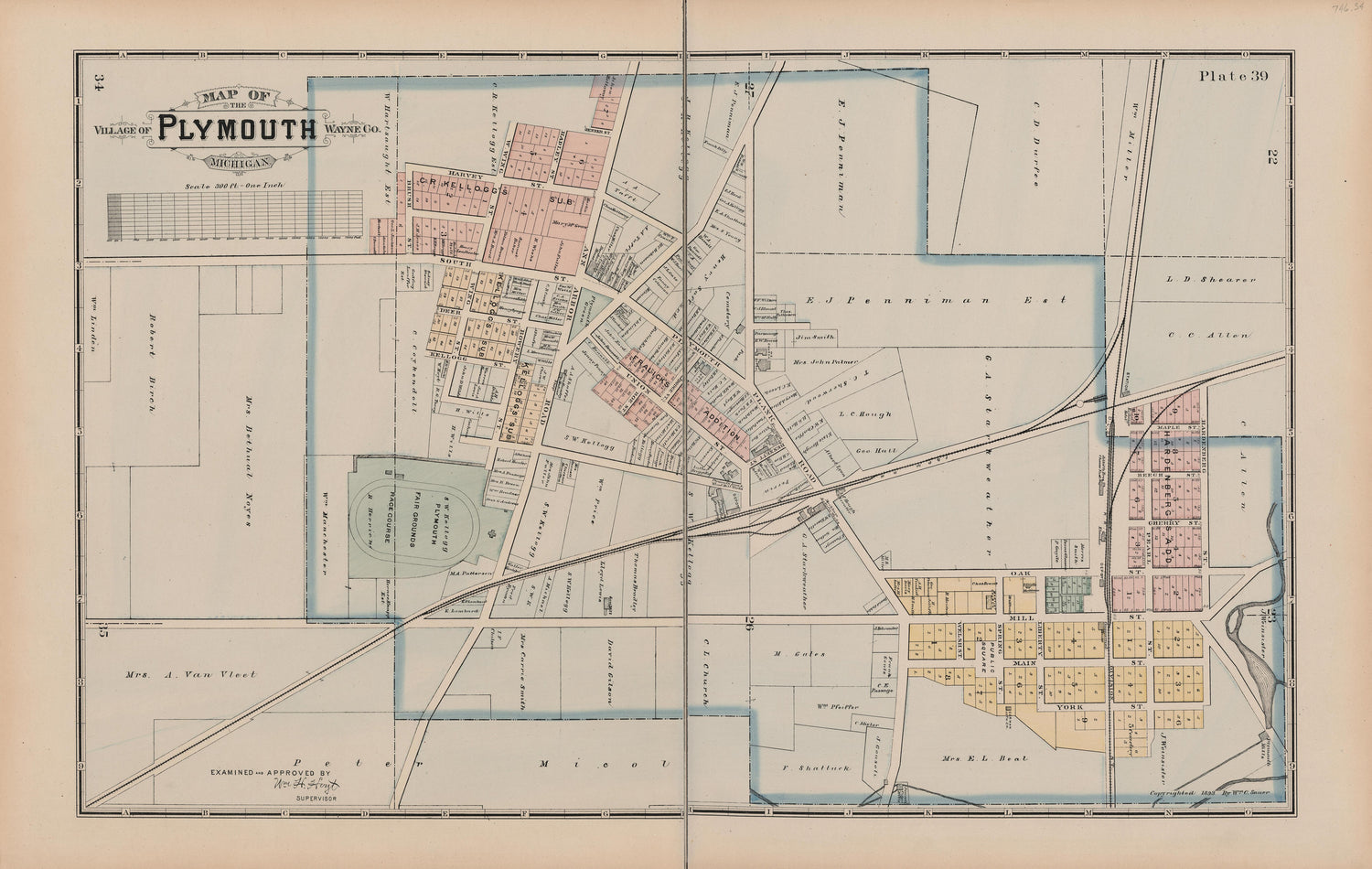 This old map of Michigan, , Wayne County was created by Sauer, Wm. C. in 1893