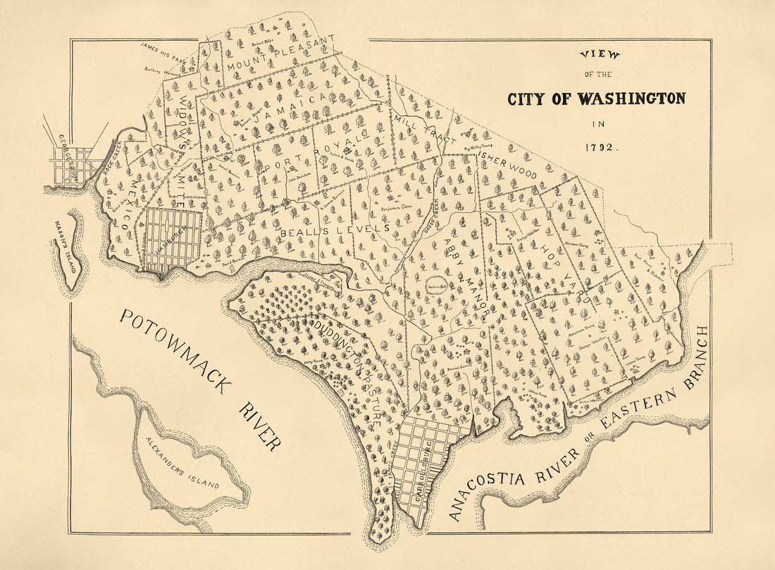View of the City of Washington In 1792