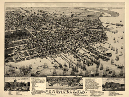 Pensacola, Florida County Seat of Escambia County 1885 by Relic Map Company