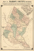 Map of Marion County, South Carolina : a Complete Map Showing the Townships, Public Roads & Principle Residences, Besides Other Things Not Found On Any Other Map of the County (Marion County, South Carolina) 1882 by Relic Map Company