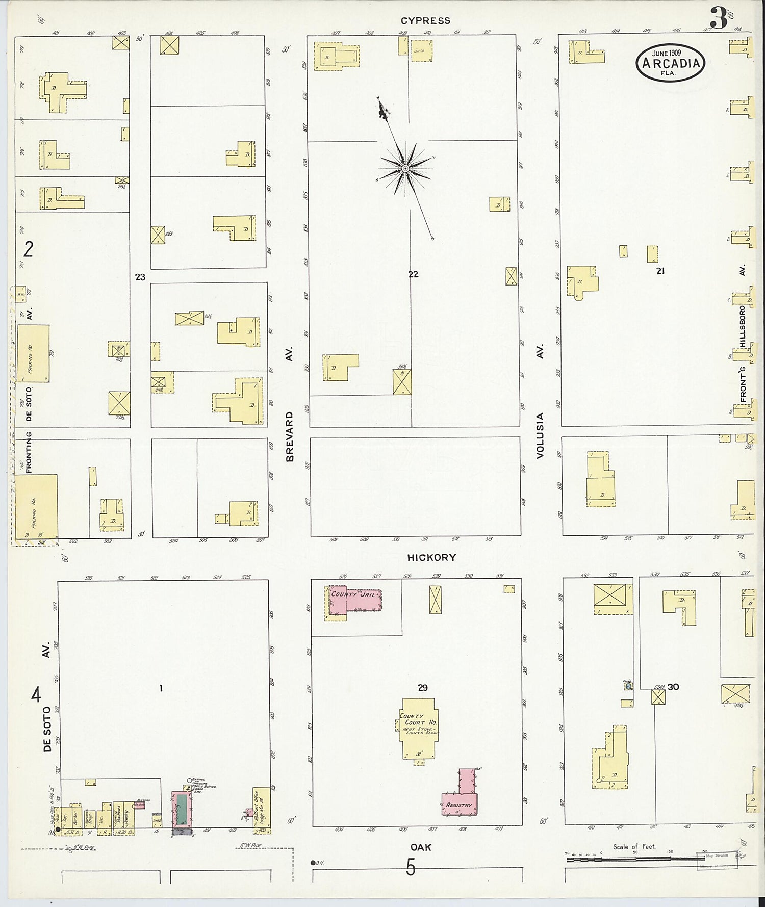 This old map of Arcadia, Desoto County, Florida was created by Sanborn Map Company in 1909