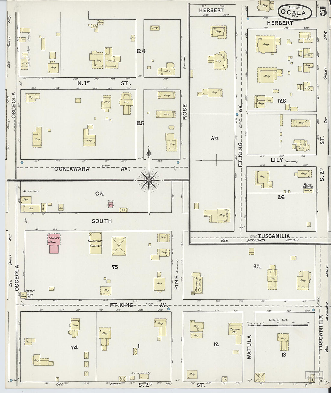 This old map of Ocala, Marion County, Florida was created by Sanborn Map Company in 1891