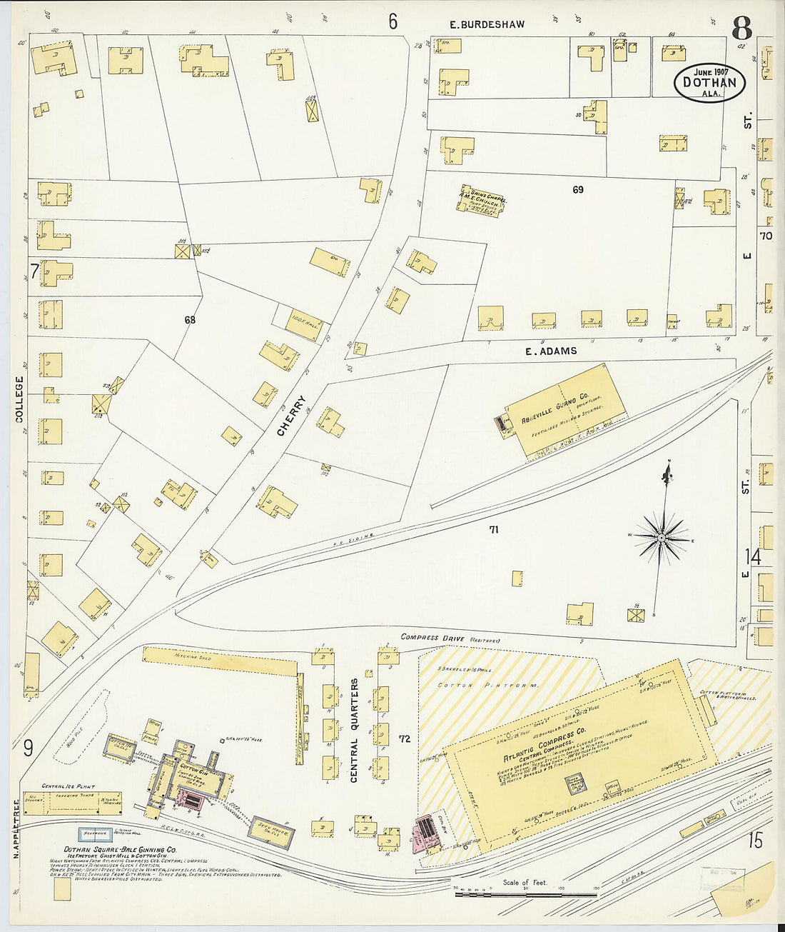 This old map of Dothan, Houston County, Alabama was created by Sanborn Map Company in 1907