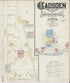 Gadsden, Etowah County, Alabama 1885 (Sheet 1 of 5) by Relic Map Company