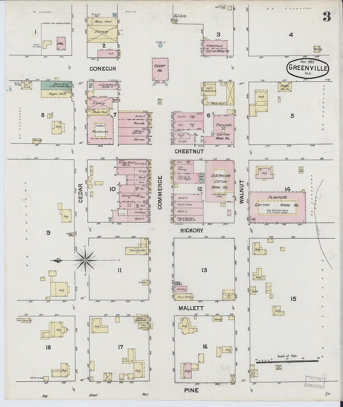 This old map of Greenville, Butler County, Alabama was created by Sanborn Map Company in 1889