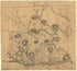 Map of Las Ormigas Grant, Sabine and DeSoto Parishes, Louisiana 1800 by Relic Map Company