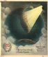 The East Coast of Florida Is Paradise Regained 1898 by Relic Map Company