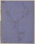 Rough Sketch of the Roads Between Beverly, W. Va., Leadsville, Bealington, and Philippi, and Bealington and Meadowville, In the Rich Mountain Area 1861 by Relic Map Company