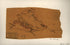 Sketch of a Portion of Orange County, Va. Showing Roads Between Orange Court House, Gordonsville, and Liberty Mills 1860 by Relic Map Company