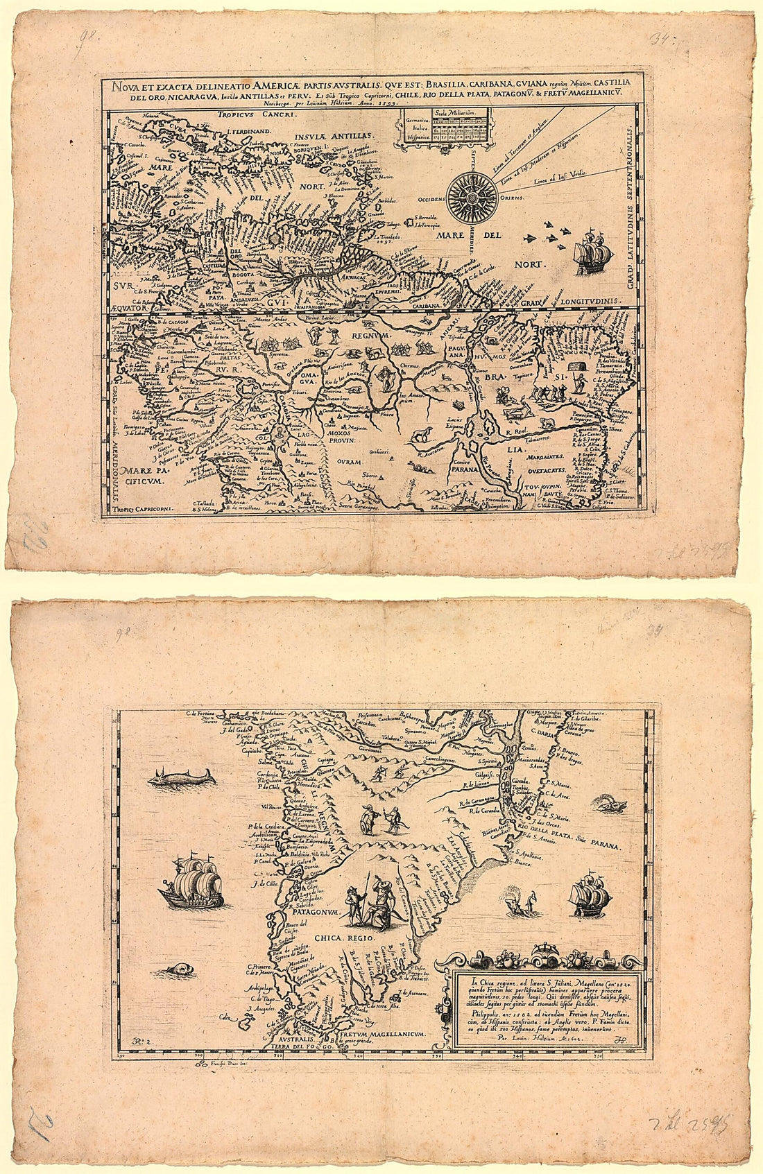 This old map of Nova Et Exacta Delineatio Americae Partis Avstralis. Qve Est : Brasilia, Caribana, Gviana Regnũm Noũũm, Castilia Del Oro, Nicaragva, Insũlae Antillas Et Perv. Et Sub Tropico Capricorni, Chile, Rio Della Plata, Patagonṽ, &amp; Fretṽ Ma