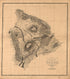 Map of Hawaii, Hawaiian Islands 1886 by Relic Map Company
